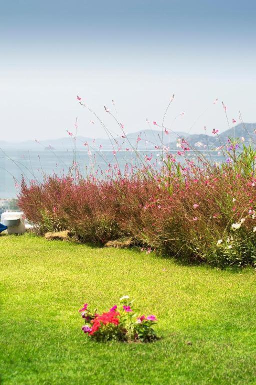 Bodrum Horizon Villas מראה חיצוני תמונה